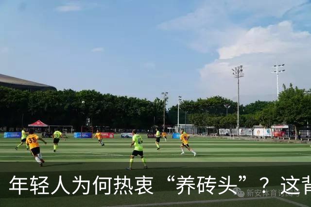 年轻人为何热衷“养砖头”？这背后的意义你了解吗？